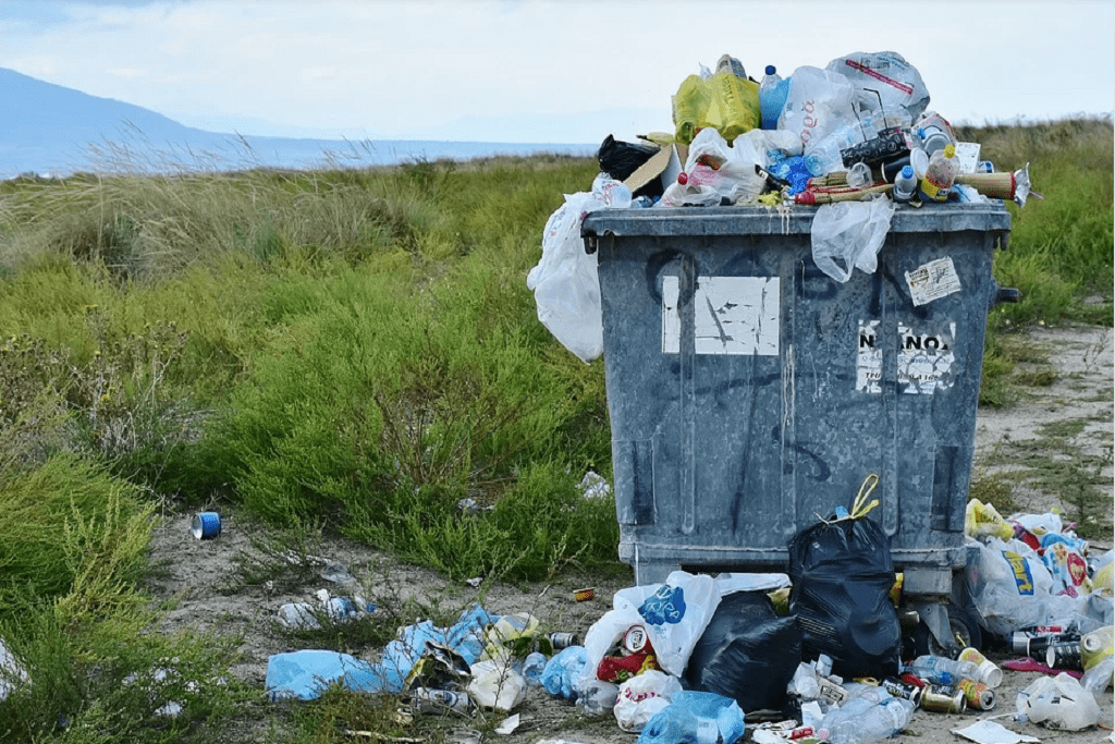Размещение и хранение отходов
