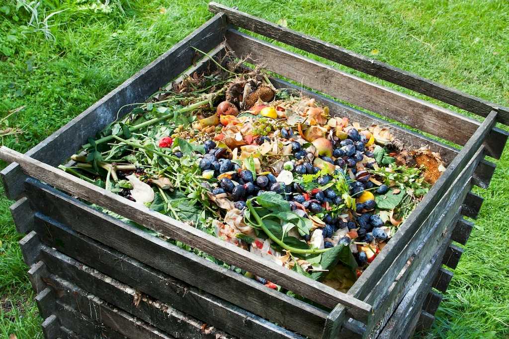Какие продукты можно использовать для приготовления органического компоста