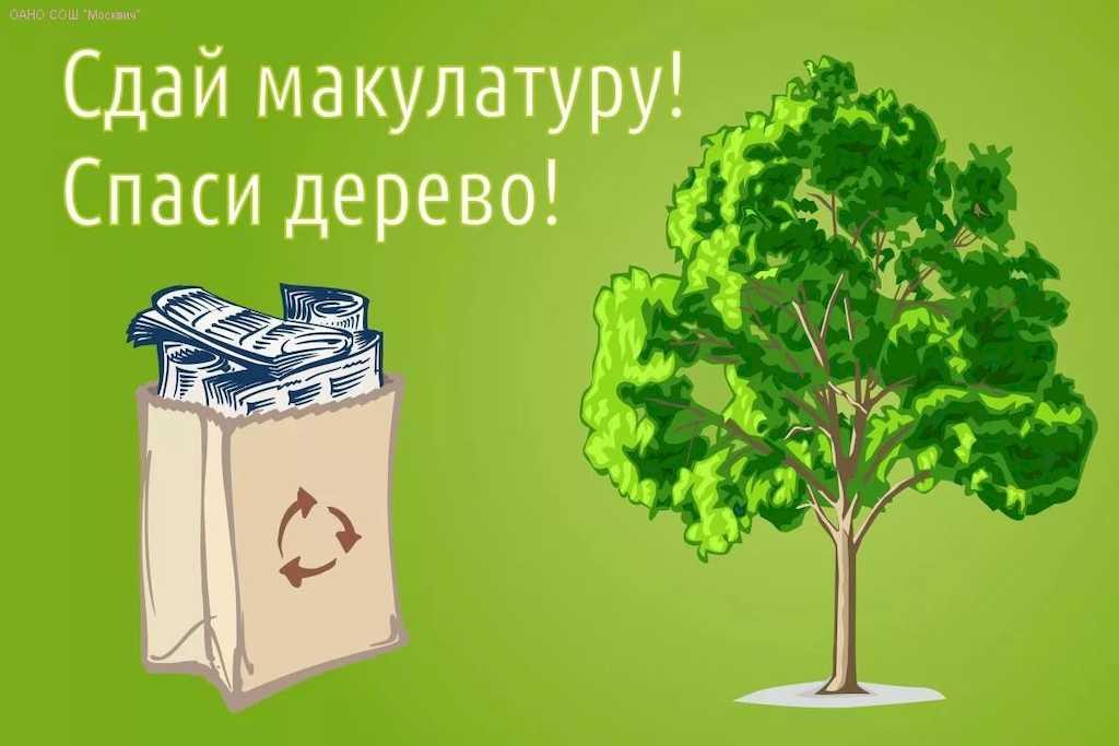Эко-марафон переработка Сдай макулатуру Спаси дерево