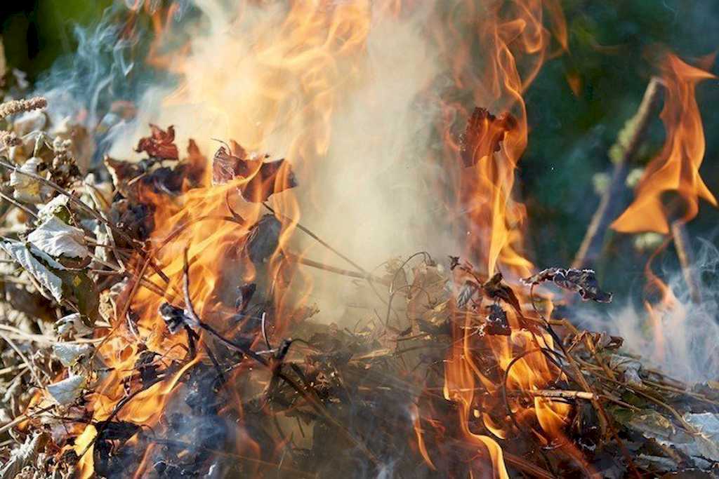 Сжигание листвы